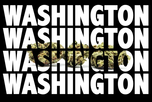 Marijuana Washington — Stockfoto