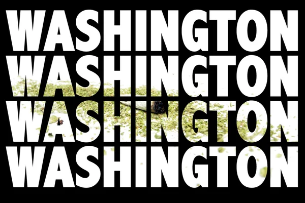 Washington di marijuana — Foto Stock