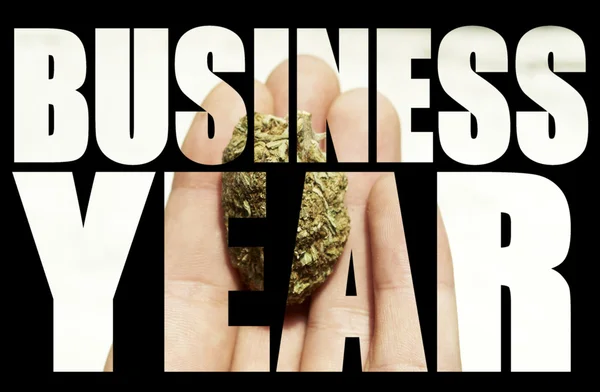Obchodní rok, marihuana — Stock fotografie