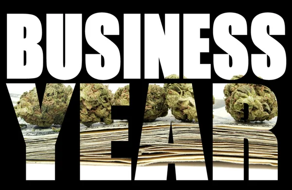 Business Year, Marijuana — Stock Photo, Image