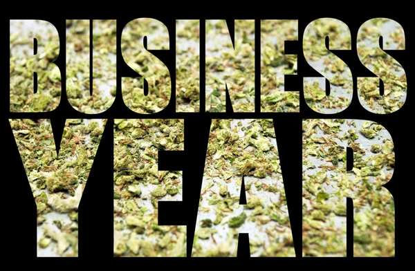 Üzleti év, marihuána — Stock Fotó