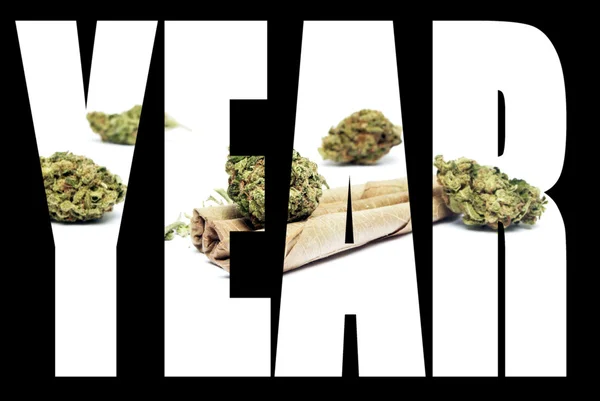 大麻，到 2015 年 — 图库照片