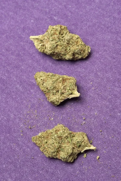 Medicinsk marijuana och cannabis — Stockfoto