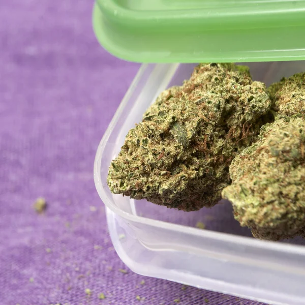 tıbbi esrar ve esrar