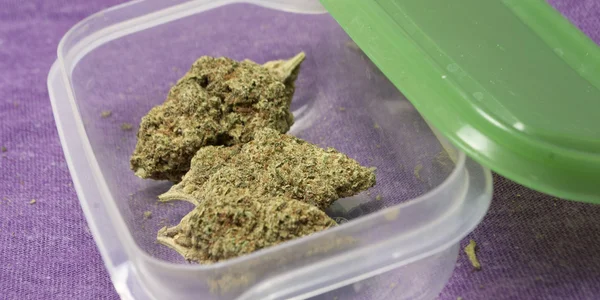 Medizinisches Marihuana — Stockfoto