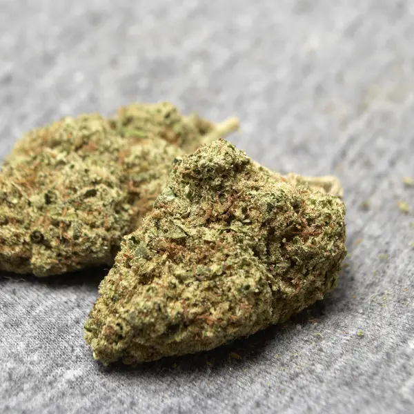 Medicinsk marijuana — Stockfoto