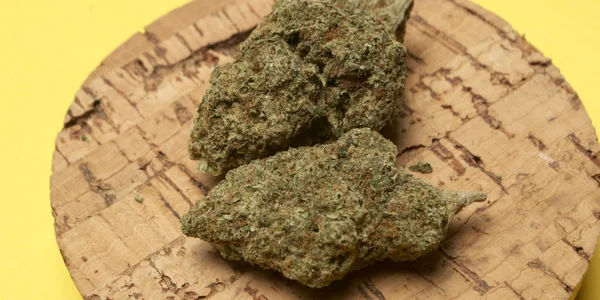 Medicinsk marijuana — Stockfoto