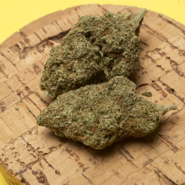 Медична марихуана — стокове фото
