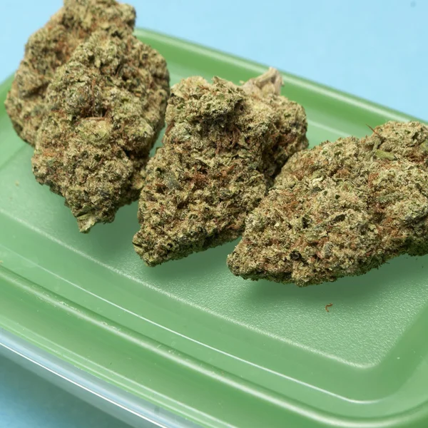 Medicinsk marijuana — Stockfoto