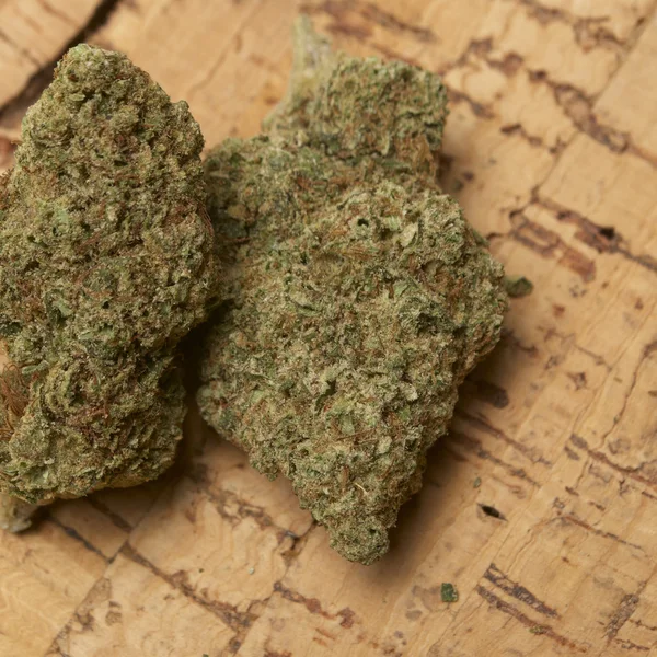 Medicinsk marijuana — Stockfoto