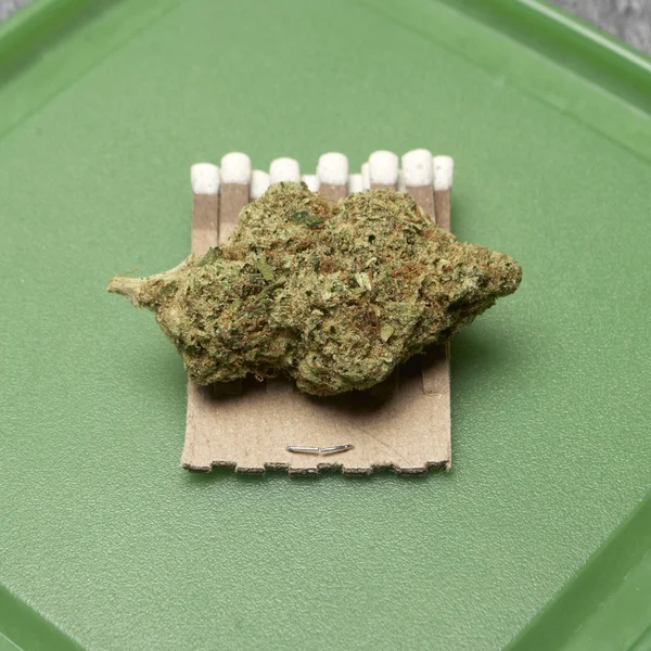 Marijuana medicinal — Fotografia de Stock