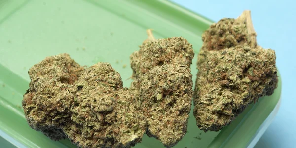 Marihuana medicinal — Foto de Stock