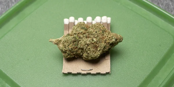 Marijuana medicinal — Fotografia de Stock