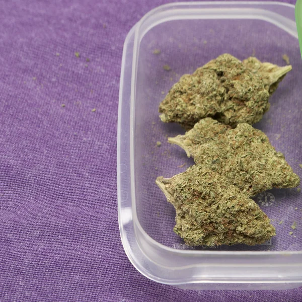 Marihuana medicinal —  Fotos de Stock