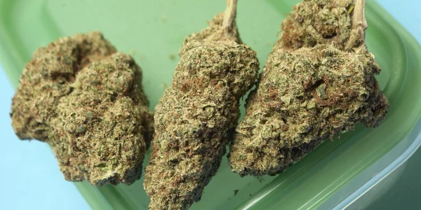 Marihuana medicinal — Foto de Stock