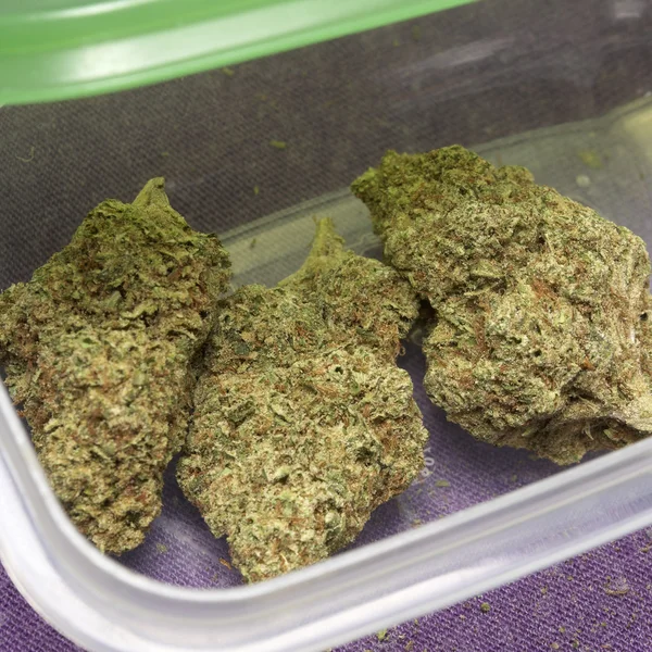 Marihuana medicinal — Foto de Stock