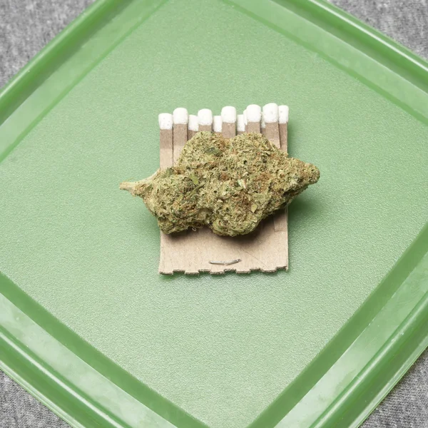 Medicinsk marijuana — Stockfoto