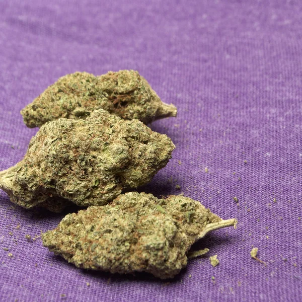 医疗大麻 — 图库照片