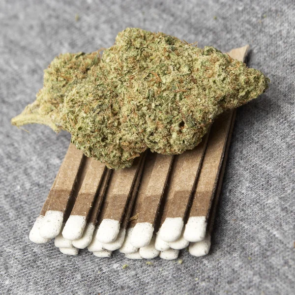 Medicinsk marijuana — Stockfoto