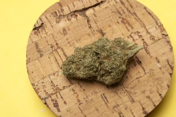 Medizinisches Marihuana — Stockfoto