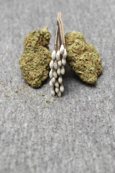 Medizinisches Marihuana — Stockfoto