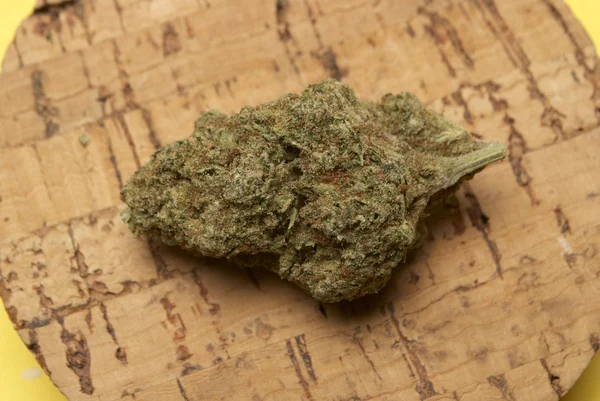 Marihuana medyczna — Zdjęcie stockowe