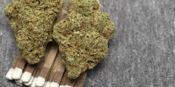 Marihuana und Cannabis — Stockfoto