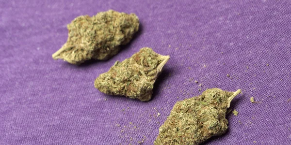 Marihuana y Cannabis —  Fotos de Stock