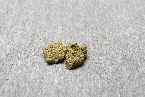 Marihuána és a cannabis — Stock Fotó