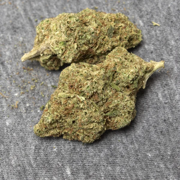 Marihuana und Cannabis — Stockfoto