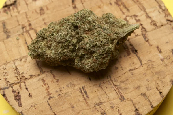 Marihuana en cannabis — Stockfoto