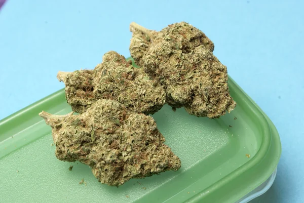 Marihuana y Cannabis — Foto de Stock