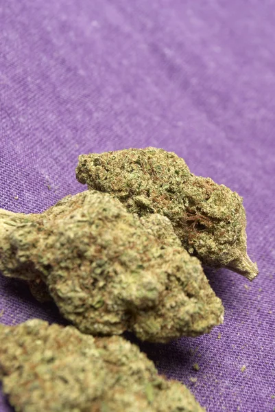 Marihuana en cannabis — Stockfoto