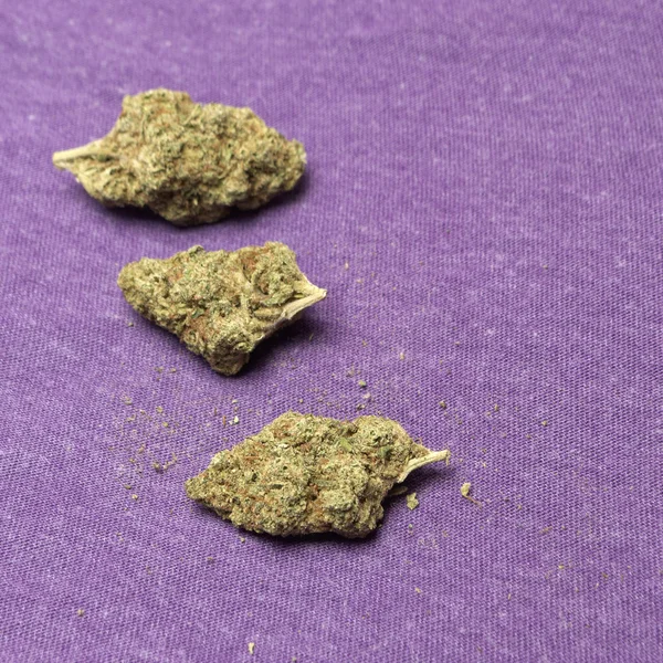 Marijuana and Cannabis — Stock Photo, Image