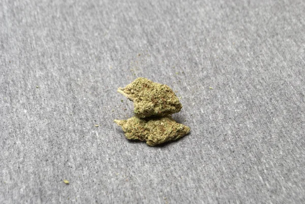 Marijuana och cannabis — Stockfoto