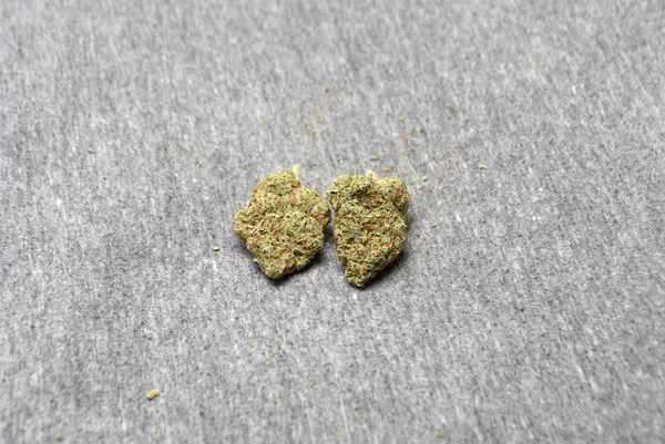 Marihuana a konopí — Stock fotografie