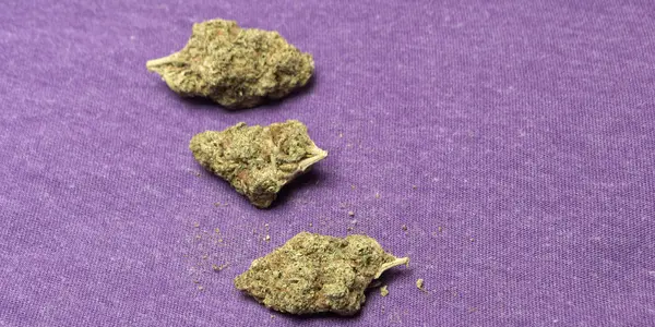 Marijuana e Cannabis — Foto Stock