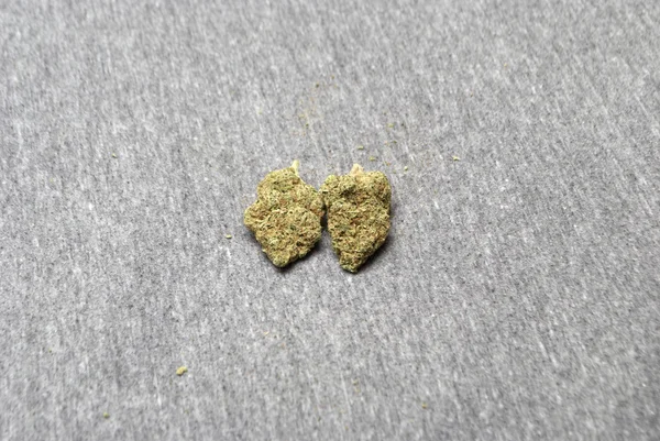 Marijuana et cannabis — Photo