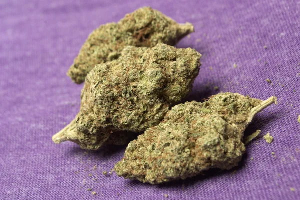Marihuana en cannabis — Stockfoto
