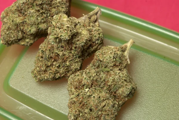 마리화나와 대마초 — 스톡 사진