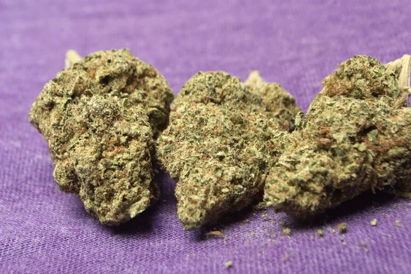 Maconha e Cannabis — Fotografia de Stock