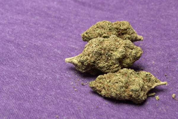 Marihuana y Cannabis — Foto de Stock