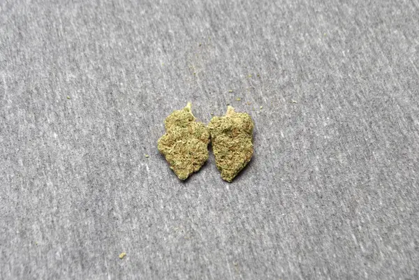 마리화나와 대마초 — 스톡 사진