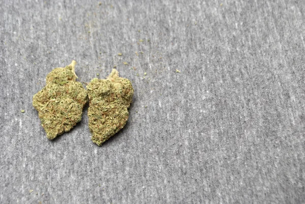 Marijuana e Cannabis — Foto Stock