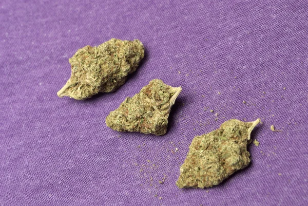 Marihuána és a cannabis — Stock Fotó