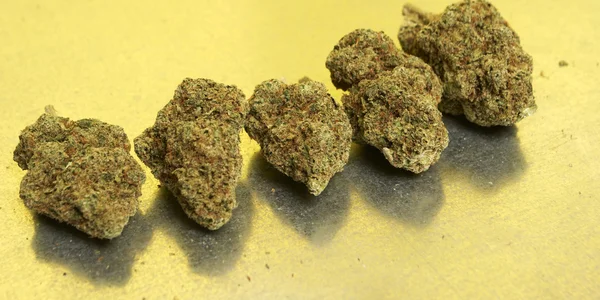 Marijuana — Foto Stock