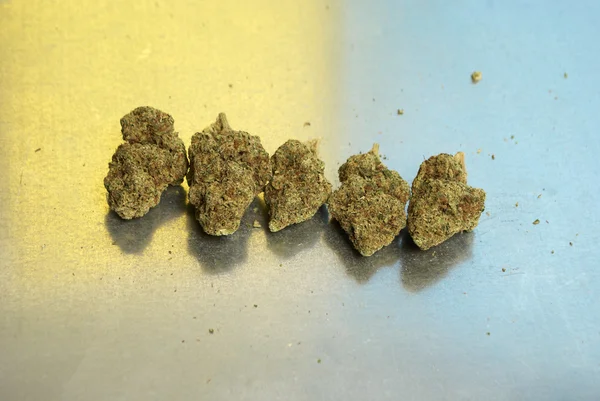 Marijuana — Photo