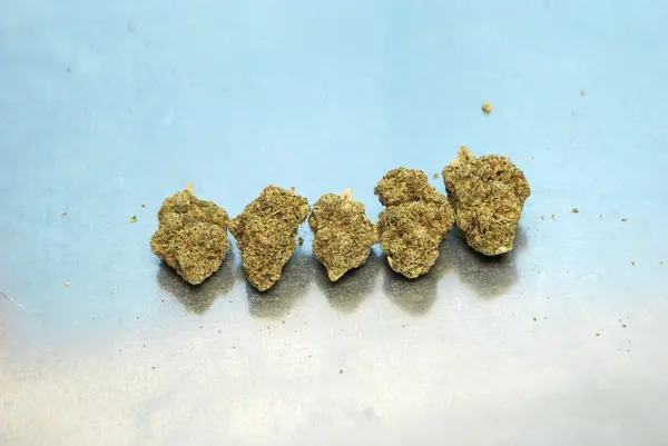 马利华纳 — 图库照片