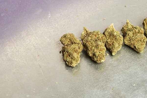 Marihuana medicinal, cogollos de cannabis —  Fotos de Stock