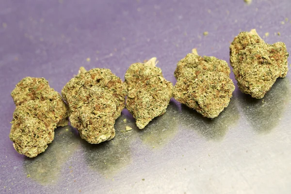 Medical Marijuana, Cannabis Buds — Stock Photo, Image